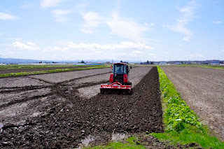 田起こし（5月9日）