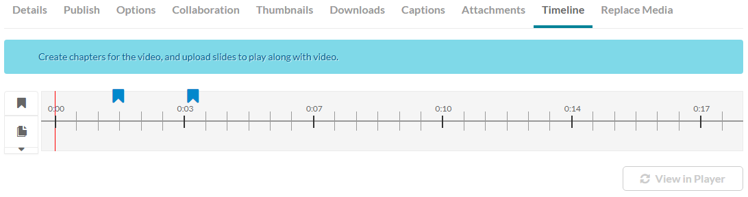 Screenshot of the video timeline.