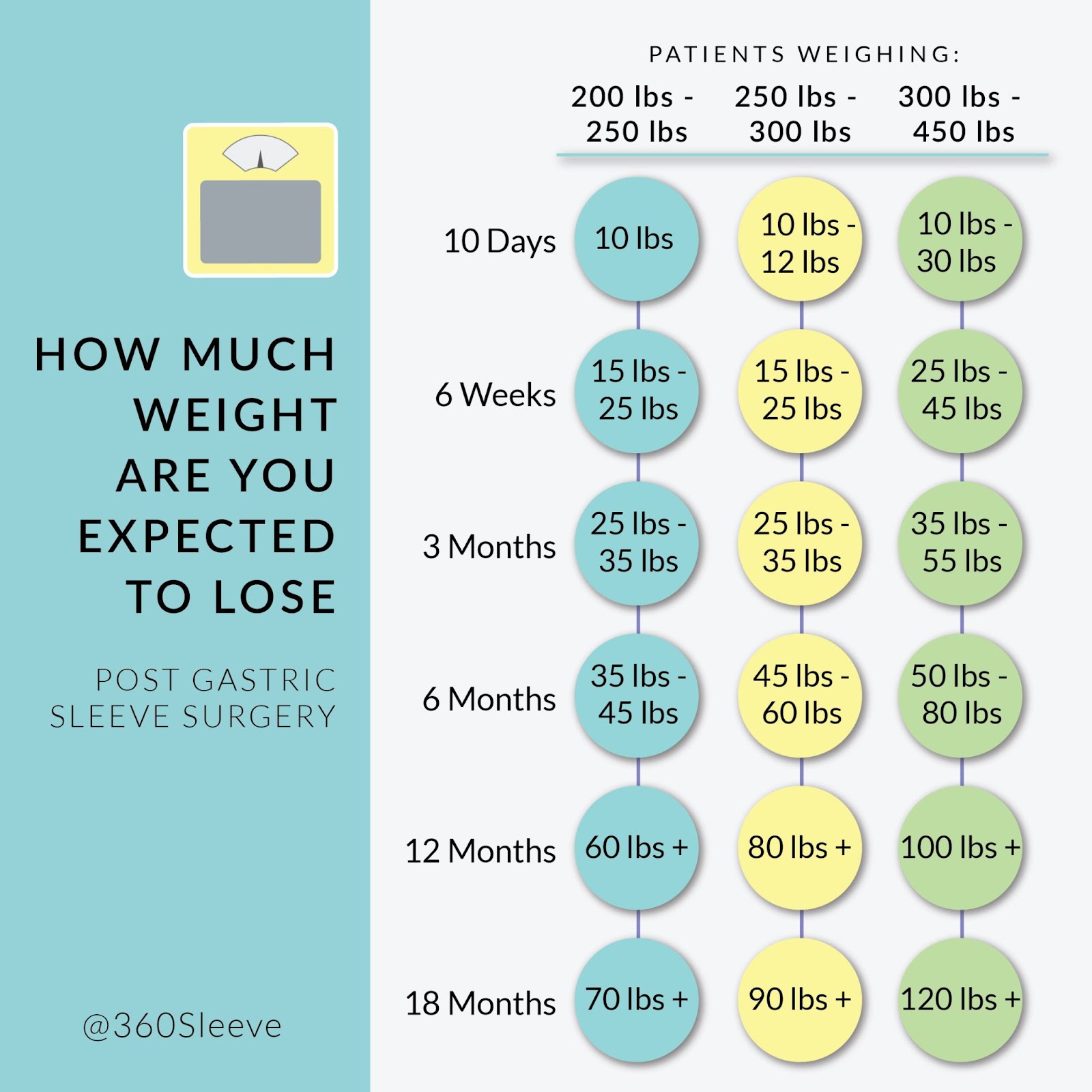 sleeve gastrectomy monthly weight loss