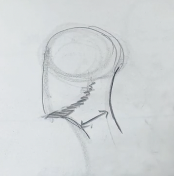 head sketch