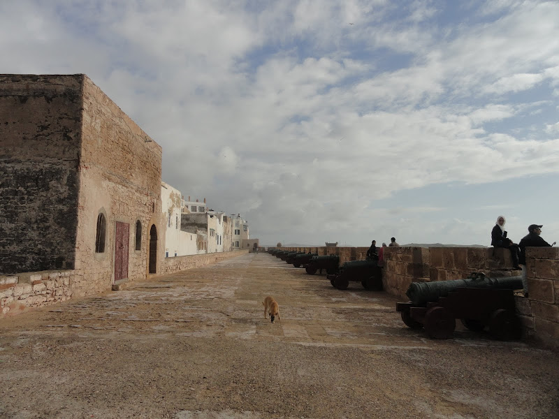 Passeando por Marrocos... - Página 5 DSC08671