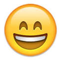 Image result for happy emojis images