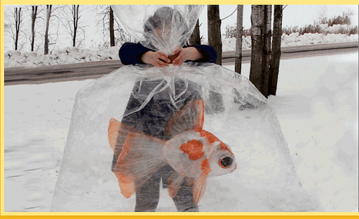 %601 Amazing Scotch Tape Sculptures [PHOTOS]