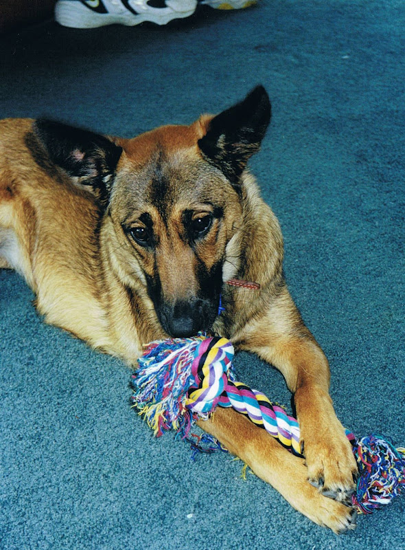 CCF22122010_00005.jpg