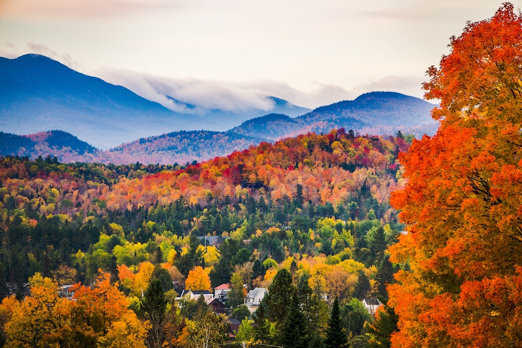 Adirondacks, NY with multiple colors of leaves changing