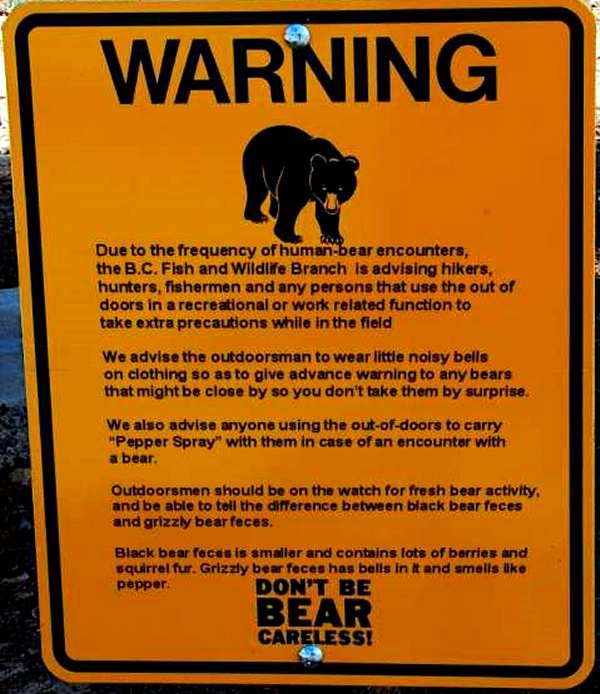 Image result for bear warning bells