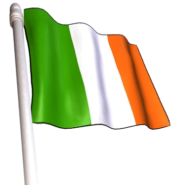 Immigration to ireland 2011