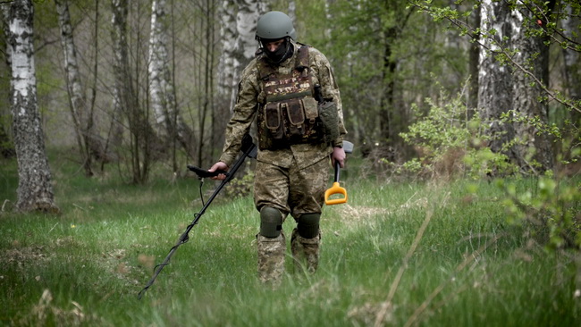 Сезон ягід та грибів у Житомирській області в умовах війни: до лісу ходити лише з дозволу військових і на розміновані території