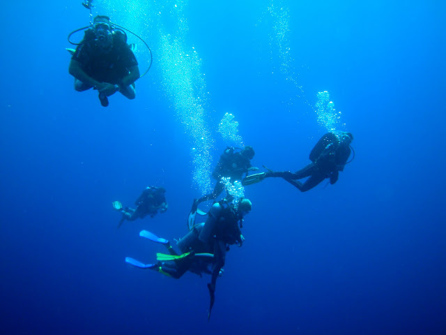 Blog de perretausoleil : Voyage au bout du monde de la famille PERRET, Rangiroa plong�e 2