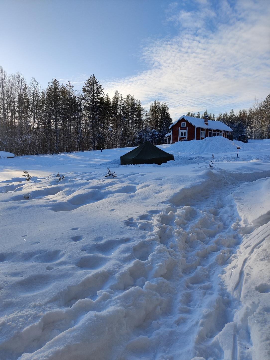 Kuva, joka sisältää kohteen lumi, ulko, puu, luonto

Kuvaus luotu automaattisesti