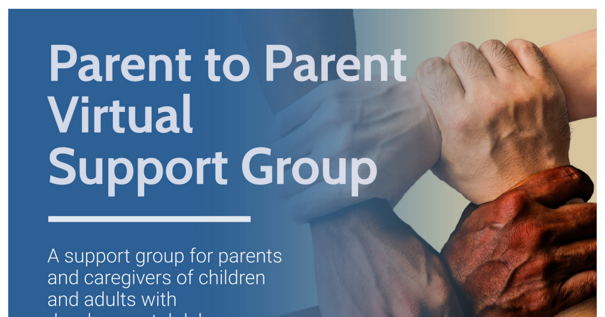 P2P Support Group virtual.pdf