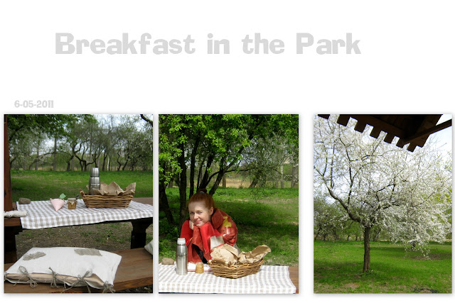 Breakfast in the Park 