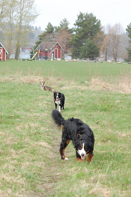 DSC_0610.JPG