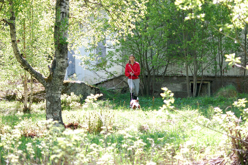 DSC_0145.JPG