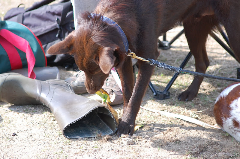 DSC_0363.JPG