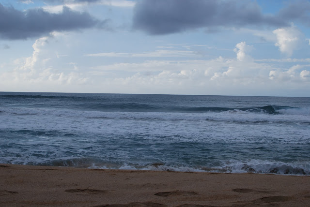 Polihale
