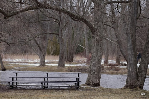 IMAGE: https://lh6.googleusercontent.com/_hdZasF15SMc/TX2UN2xxxUI/AAAAAAAASRA/rAIKImnY58Q/IMG_0635.JPG