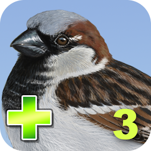 iBird Yard Plus apk Download