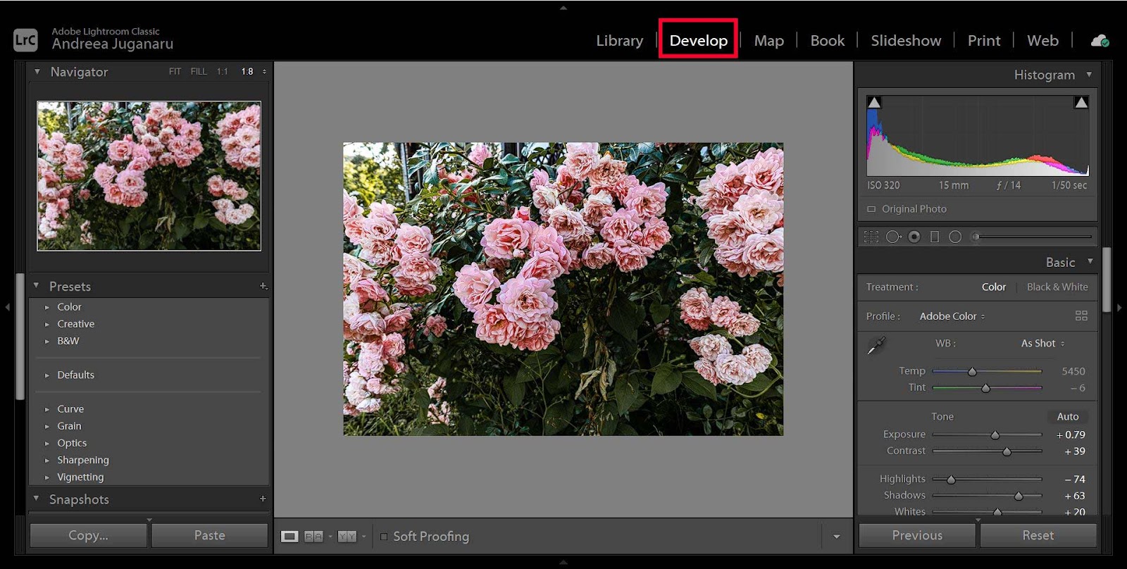 How To Blur The Background In Lightroom | Teckers® | Tech ...
