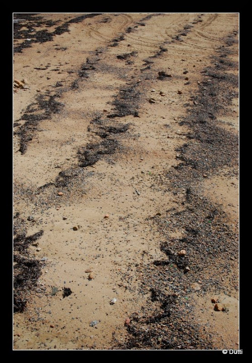 Challenge d'Avril 2011 : Alignement : fin le 26 Avril Sand_petit