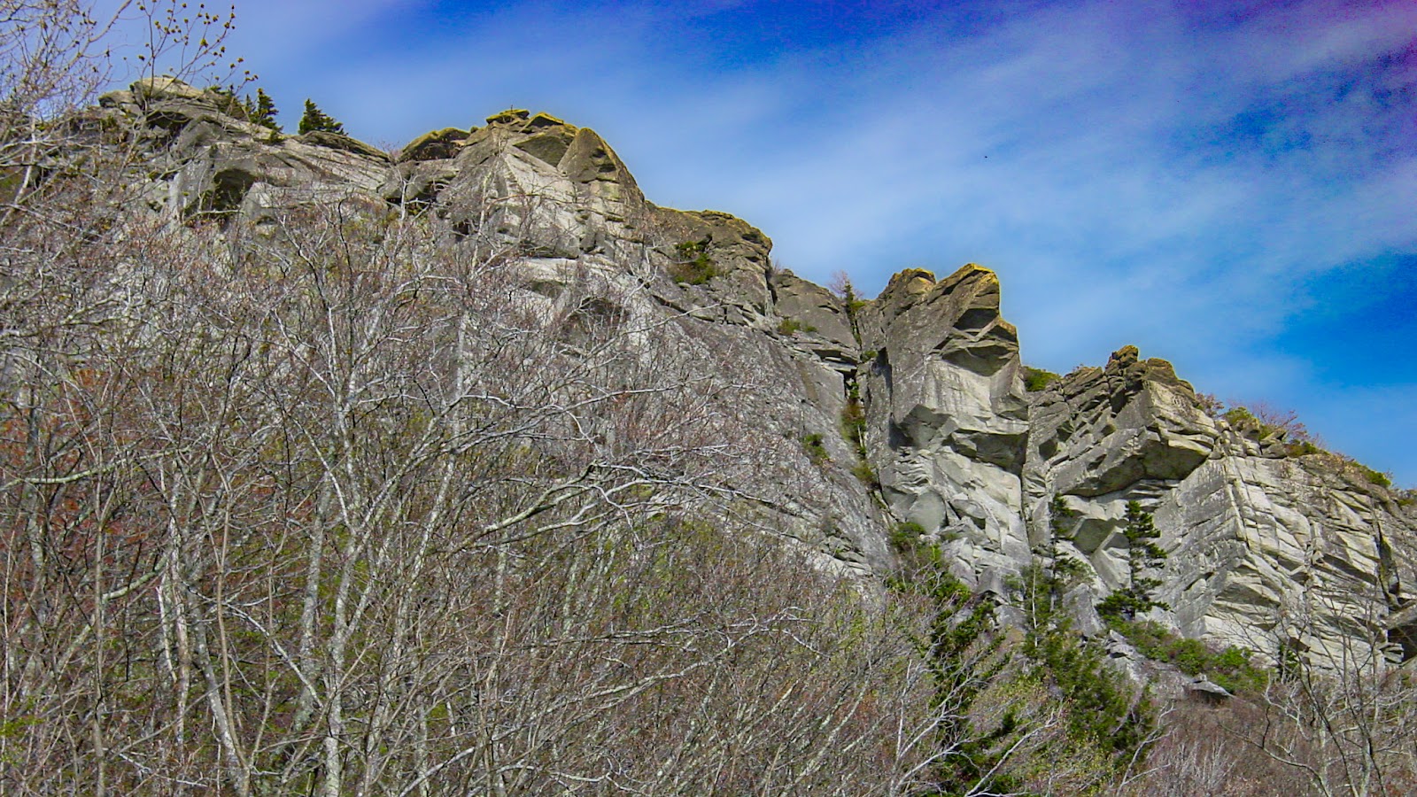 A look up at mountain cliffs with bright blue sky in the background and a snarl of trees in the foreground. 