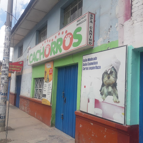 Cachorros