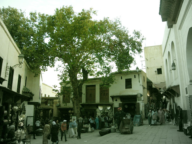 Fez no es Marrakech - Blogs de Marruecos - 05 Por la medina de Fez (13)