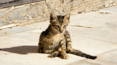 05 Por la medina de Fez - Fez no es Marrakech (15)