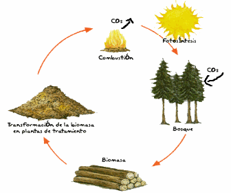 ciclo-biomasa-energias ciclo-biomasa-energias