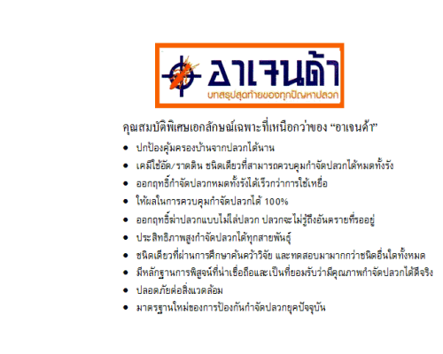 กำจัดปลวก,กำจัดแมลง,บริการกำจัดปลวก,บริการกำจัดแมลง,กำจัดปลวกปทุมธานี,รับกำจัดปลวก,ปลวก