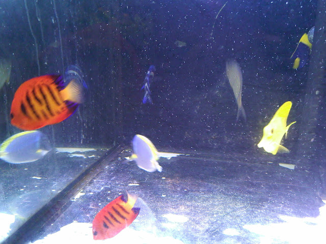IMG20110222_008.jpg