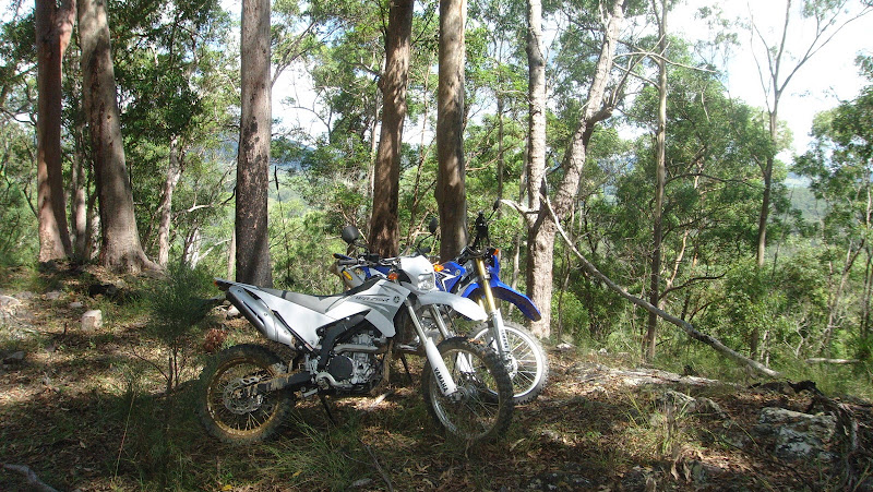 Blue 10 and a white 08 250R in the Aussie bush ...Continued DSC02414