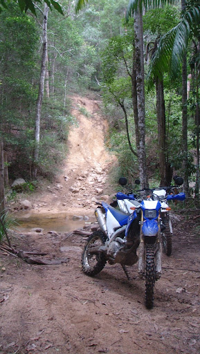 Blue 10 and a white 08 250R in the Aussie bush ...Continued DSC02497