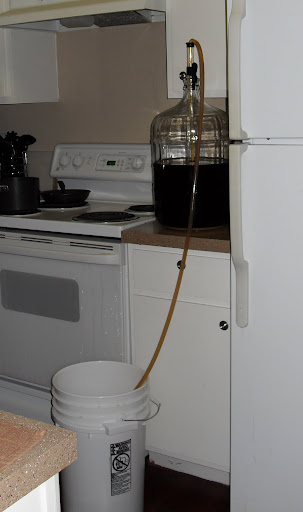 transferring the beer