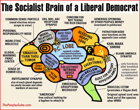 [Brain_Socialist_550.gif]