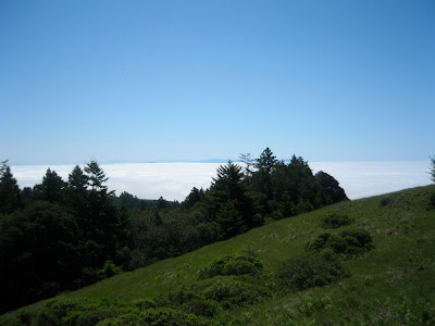 Marin County destination trail