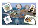 Deal of the Day 7 pieces KIT