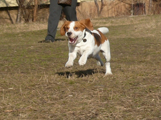 Качена снимка