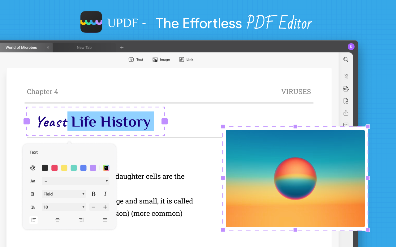 How to Edit a PDF Document