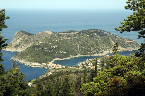 ASSOS