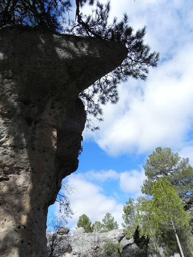 CÁMARA EN MANO Ciudad%20encantada-cuenca%20febrero%2020111%20014