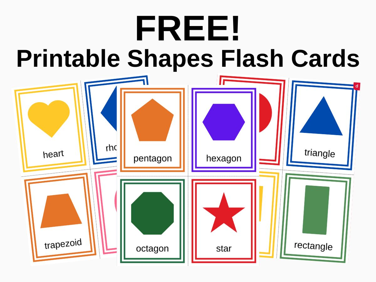2D Shape Flashcards - ESL Shape Flashcards (Teacher-Made)