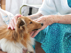Veterinary Students Helping Elderly Care for Their Pets