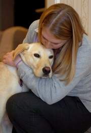 Therapy Dog: Funeral Home Greeter