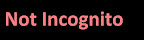 TORTILLA (Islington) Non%20Incognito TORTILLA (Islington)