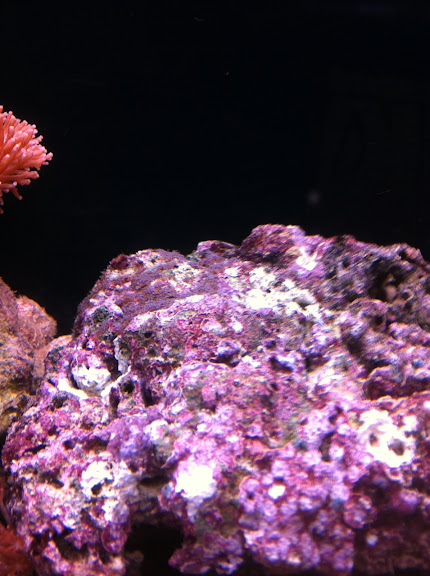 IMG_00006.jpg