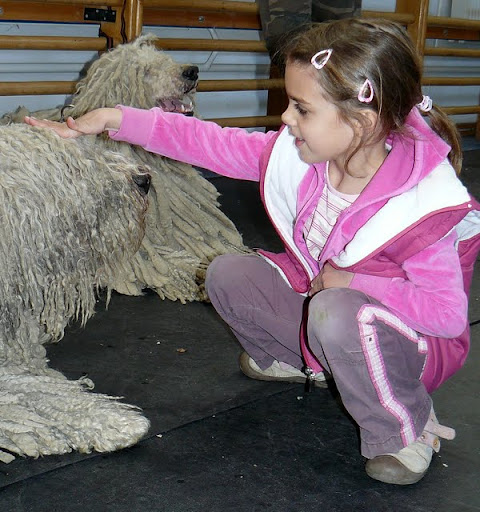 Herceghalom%20070.jpg