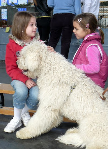 Herceghalom%20093.jpg