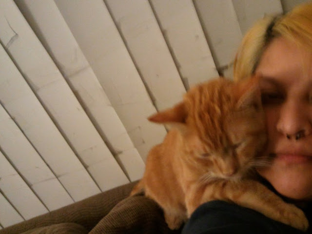 My foster kitty loves me