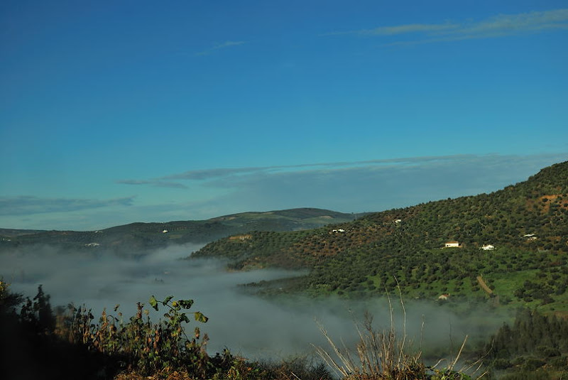 Excursión a las Cuevas del Hundidero y Gato 009%20Cueva%20del%20Gato%2020110130%20012